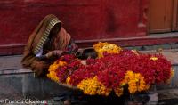 venise Venice-Carnival-Best-Of Inde Jeune femme aux fleurs 61.thumb.jpg